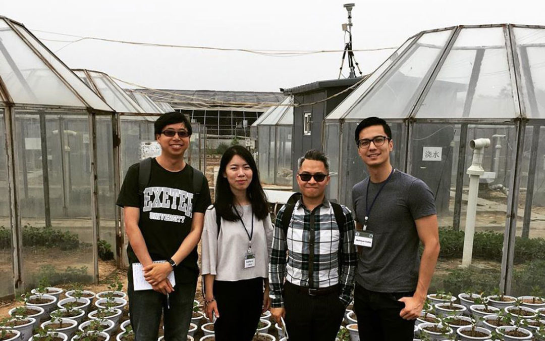 CUHK Proves and Visualises the Harmful Effect of Ozone Damage on Plants First Plant-based Measurement of Ozone in South China Region