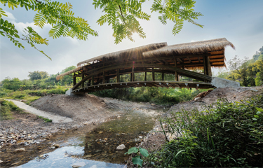 CUHK Team Builds the Longest Bamboo Bridge in Rural Mainland