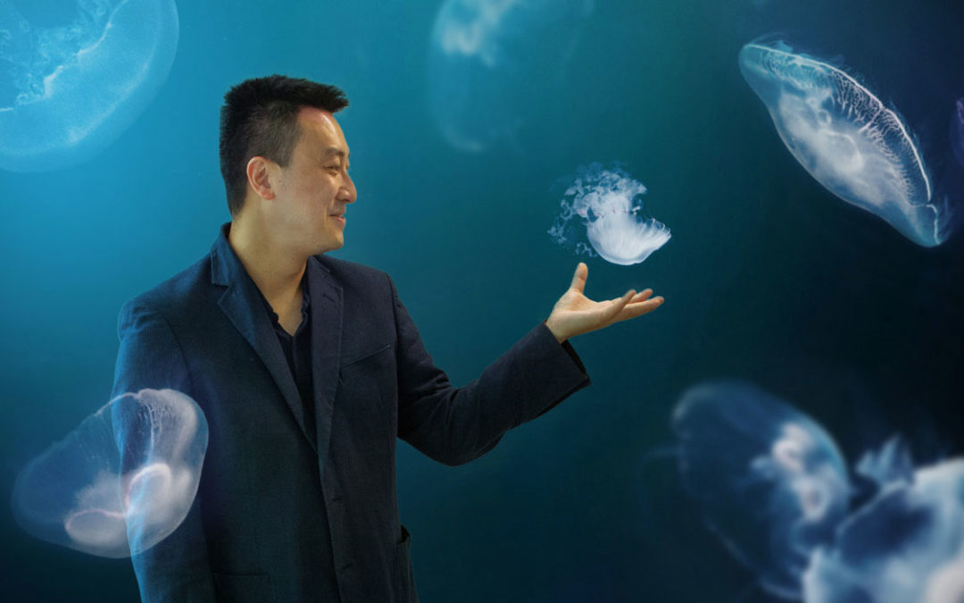 Queens of the Ocean ─ Jerome Hui snorkels in the genomic sea of jellyfish