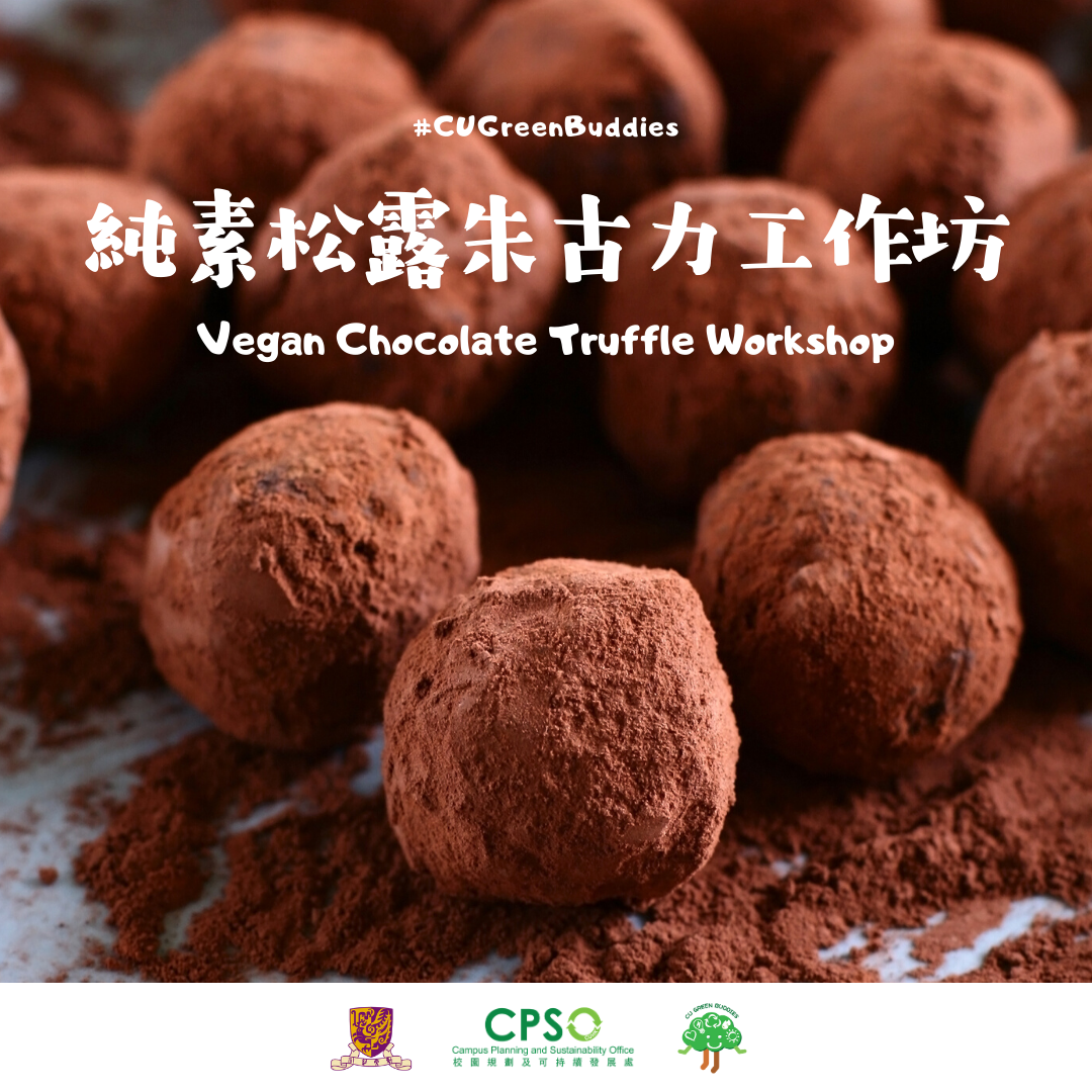 Vegan Chocolate Truffle Workshop (Postponed)