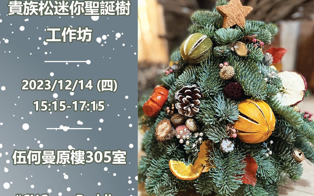Noble Fir Mini Christmas Tree Workshop