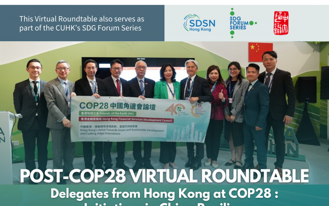Post-COP28 Virtual Roundtable – Delegates from Hong Kong at COP28: Initiatives in China Pavilion and Insights for Climate Action